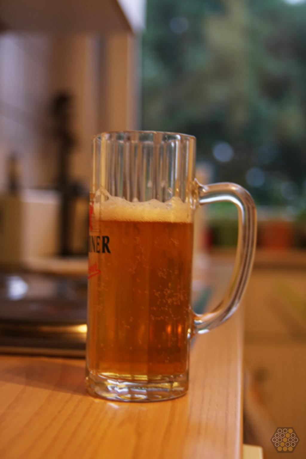 Riedenburger Helles